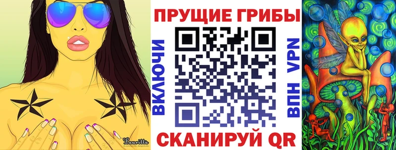 кракен ССЫЛКА цена наркотик Няндома Псилоцибиновые грибы Cubensis